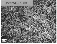 Şekil 8. Polistiren mikrohücresel köpüğün morfolojisi, ortalama hücre boyutu: 25 mikron ve Hücre yoğunluğu: 8,1x107 hücre/cm3 (Beyaz renkli çubuk 100 mikron)