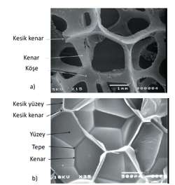 Şekil 1 (a) Açık hücreli PU'nın SEM görüntüsü (b)Kapalı hücreli (LDPE) düşük yoğunluklu (PE) polietilen köpüğün SEM görüntüsü [3]