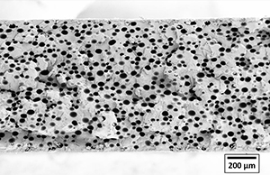 PET film örneğinde < 50 μm hücreli Promix Microcell köpük yapısı